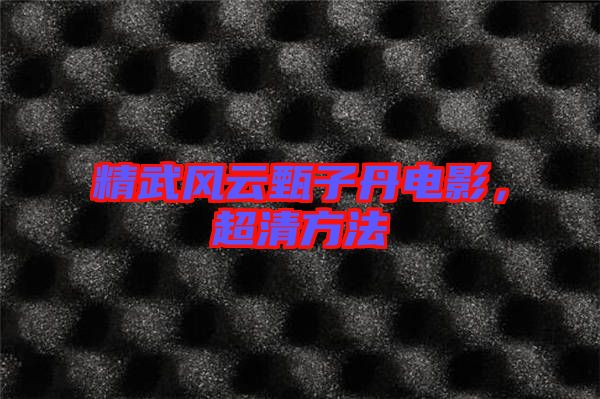 精武風(fēng)云甄子丹電影，超清方法