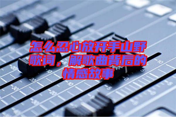 怎么忍心放開手山野歌詞，解歌曲背后的情感故事