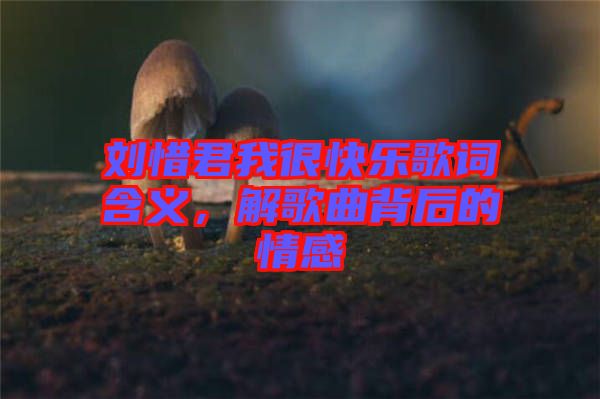 劉惜君我很快樂歌詞含義，解歌曲背后的情感