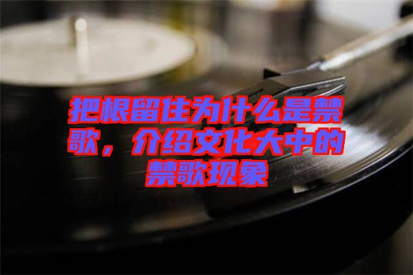把根留住為什么是禁歌，介紹文化大中的禁歌現象