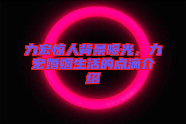 力宏驚人背景曝光,力宏婚姻生活的點滴介紹