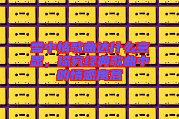 雪中情歌曲達(dá)什么意思，探究經(jīng)典歌曲中的情感寓意