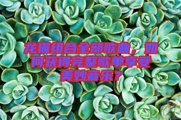 龍貓組合全部歌曲，如何獲得完整歌單享受美妙音樂？