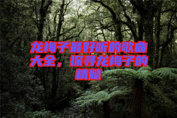 龍梅子最好聽的歌曲大全，探尋龍梅子的精髓
