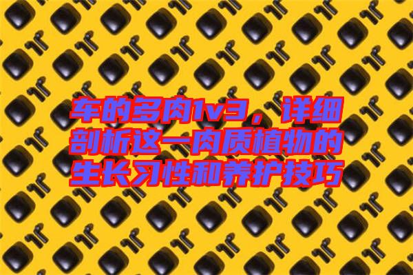 車的多肉1v3，詳細剖析這一肉質植物的生長習性和養護技巧