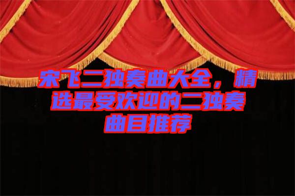 宋飛二獨(dú)奏曲大全,精選最受歡迎的二獨(dú)奏曲目推薦