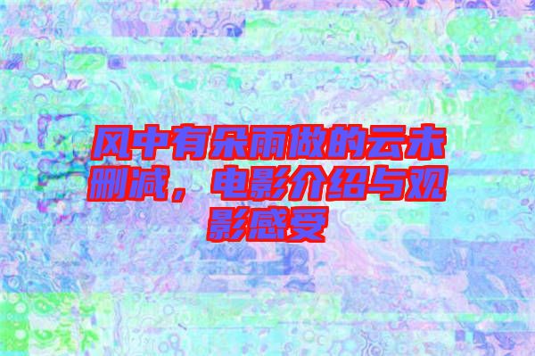 風中有朵雨做的云未刪減，電影介紹與觀影感受