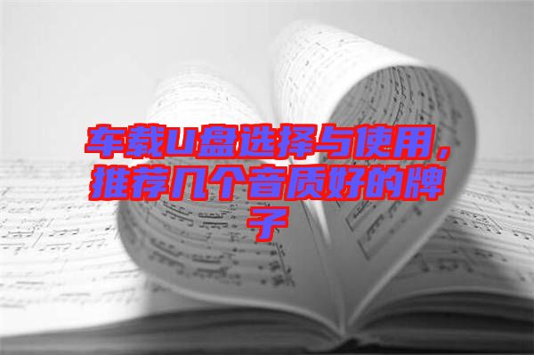 車載U盤選擇與使用,推薦幾個音質(zhì)好的牌子