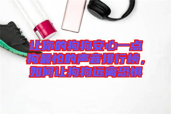 讓你的狗狗安心一點(diǎn)狗最怕的聲音排行榜,如何讓狗狗遠(yuǎn)離恐懼